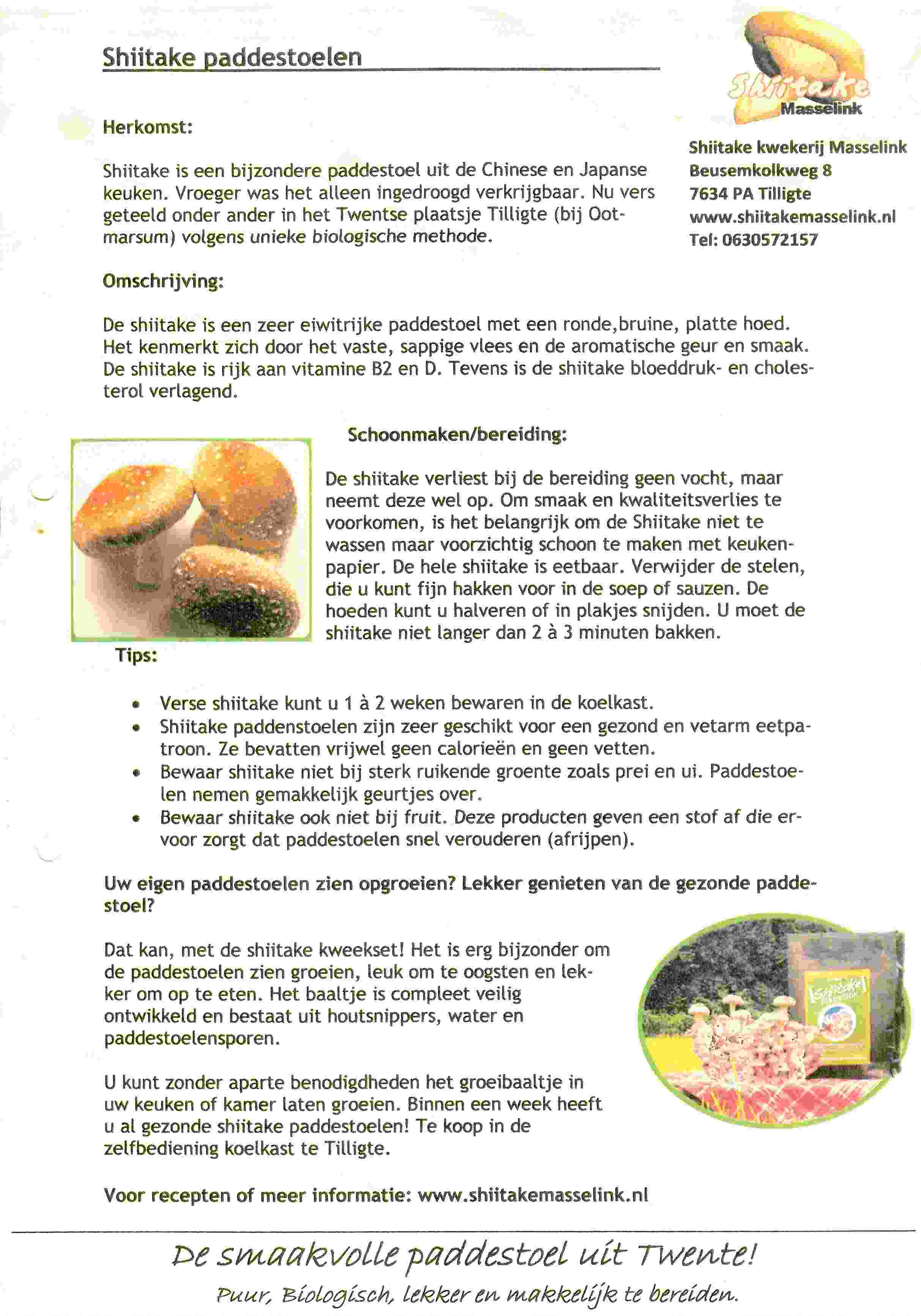 Bezoek bij Shiitake bedrijf Masselink op 2011-03-20